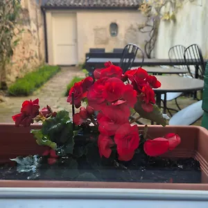 19 Borgo Cavour Frühstückspension